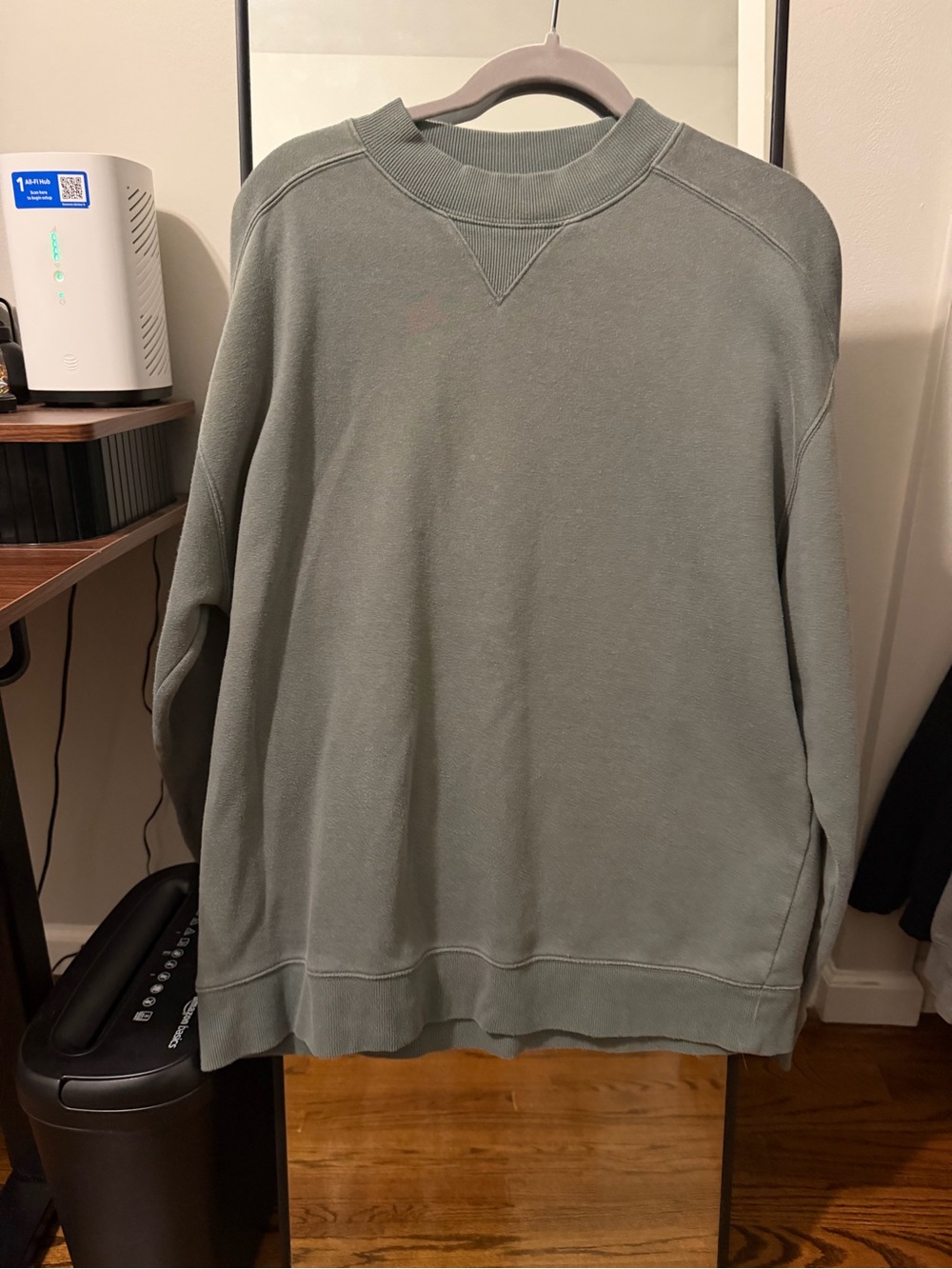 DSG Men's Crewneck Sweater in Sage